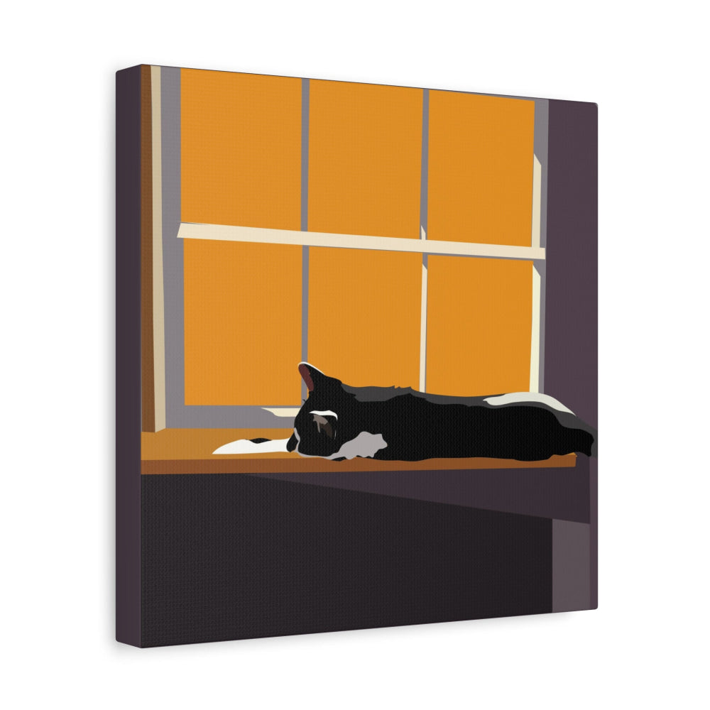Illustration of a cat lying on a windowsill with orange curtains.