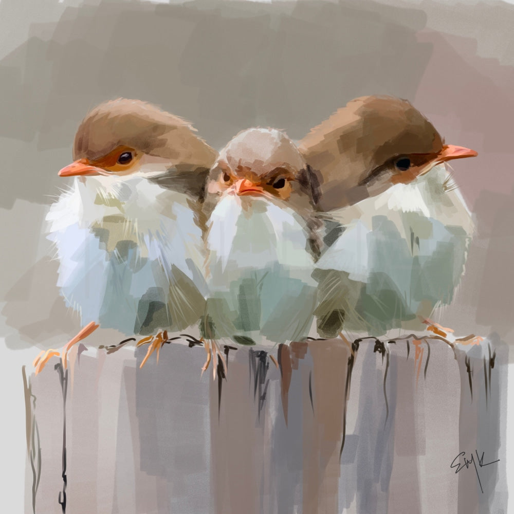 Angry Birds