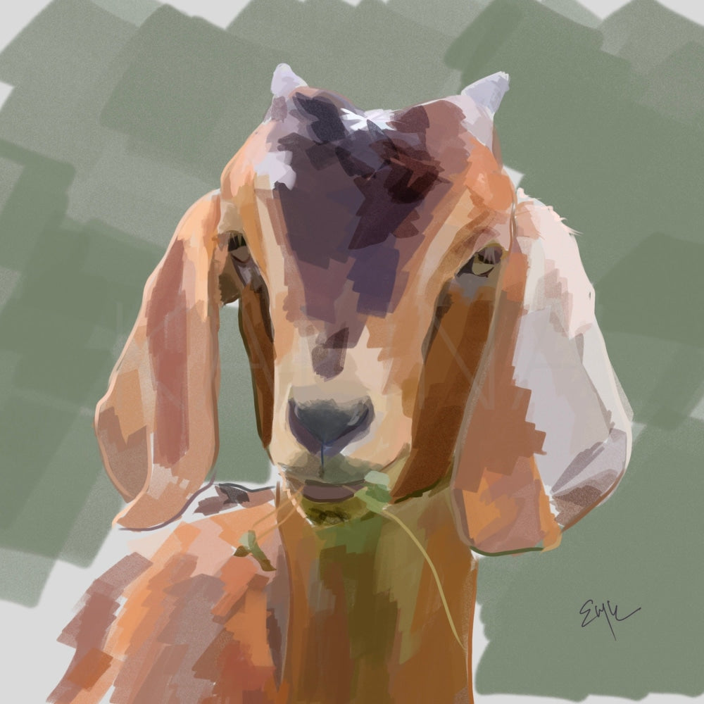 Oliver