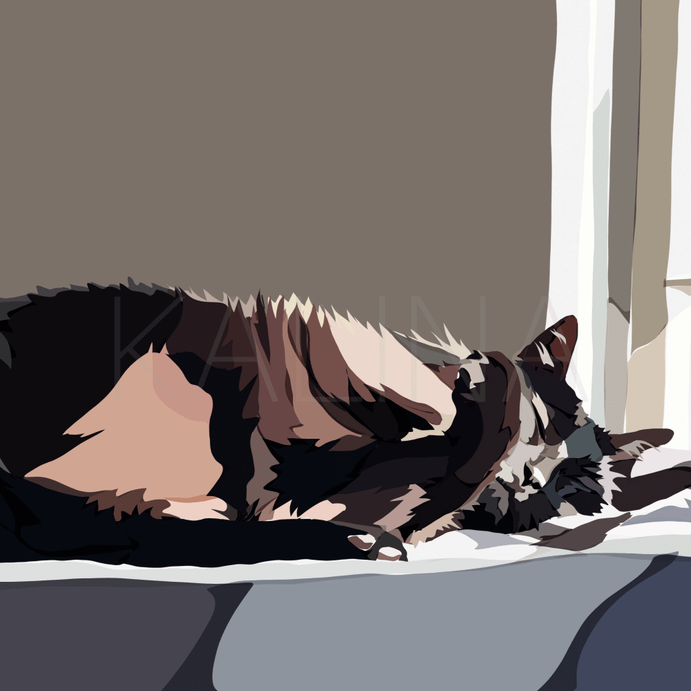 Black and white cat stretched out in a patch of sunlight, napping like it’s a full-time job. Digital painting by Emily Kalina capturing the bliss of lazy afternoons and warm window sills.