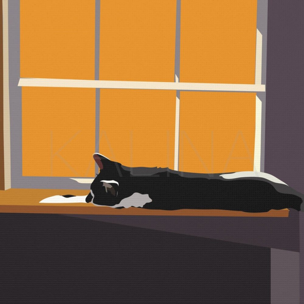 Illustration of a black and white cat sleeping on a windowsill with orange curtains.