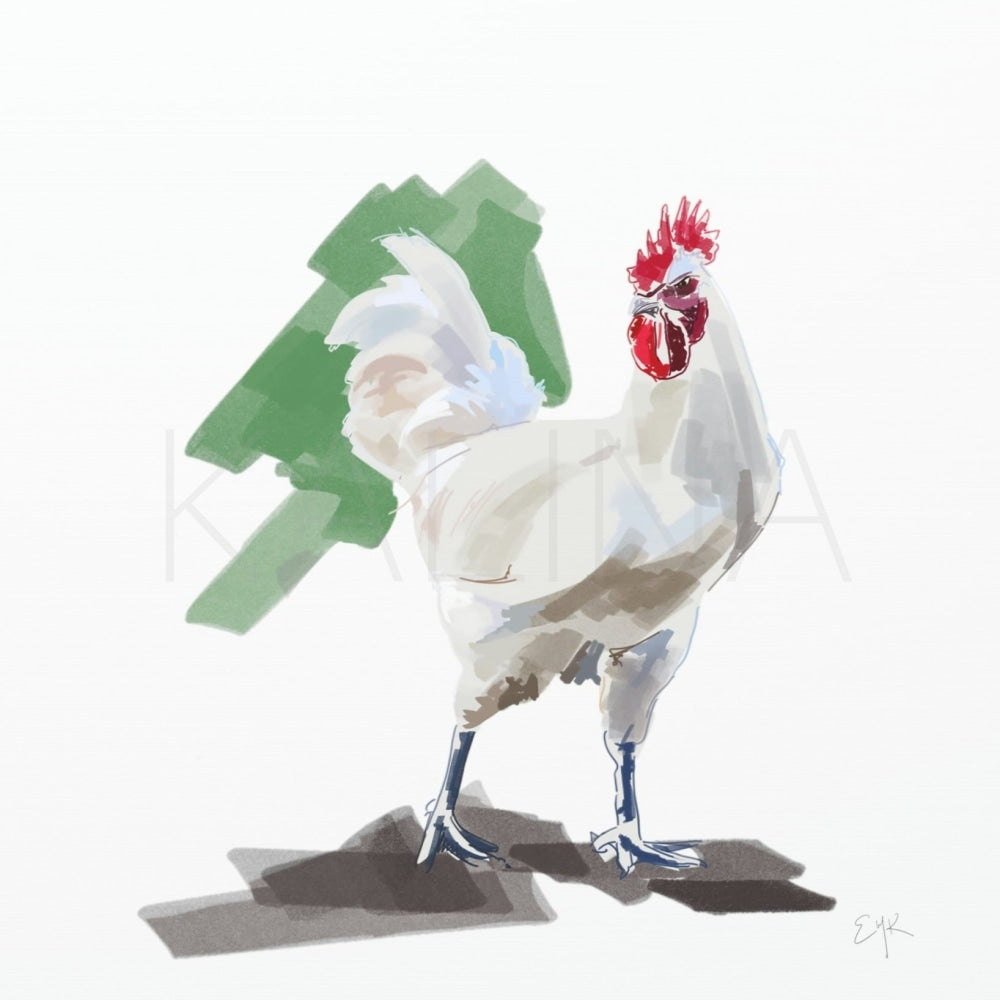 Rooster