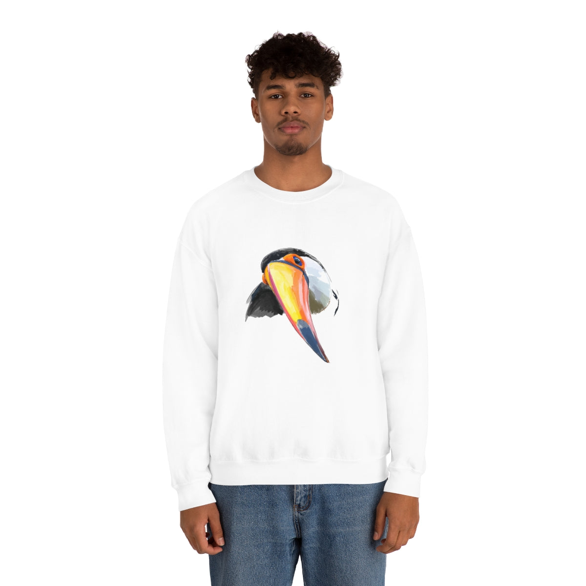 Benjamin the Toucan