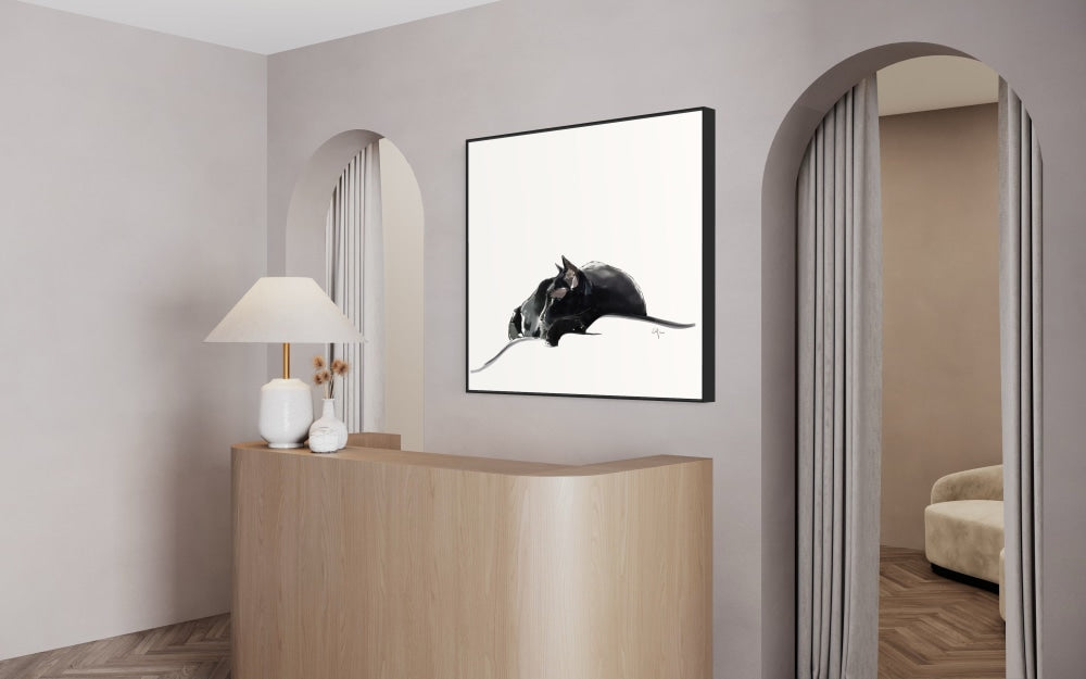 Asher IV – Fine Art Print of a Sleeping Black Cat