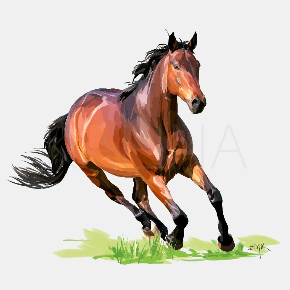 Calisto Canvas