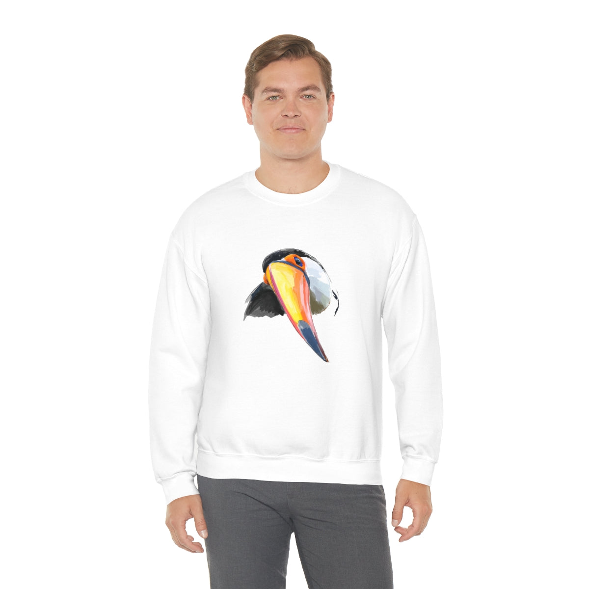 Benjamin the Toucan