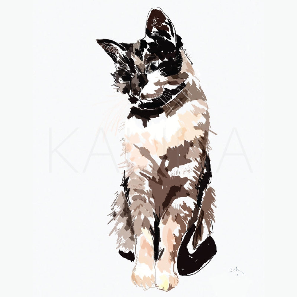 Lione Canvas