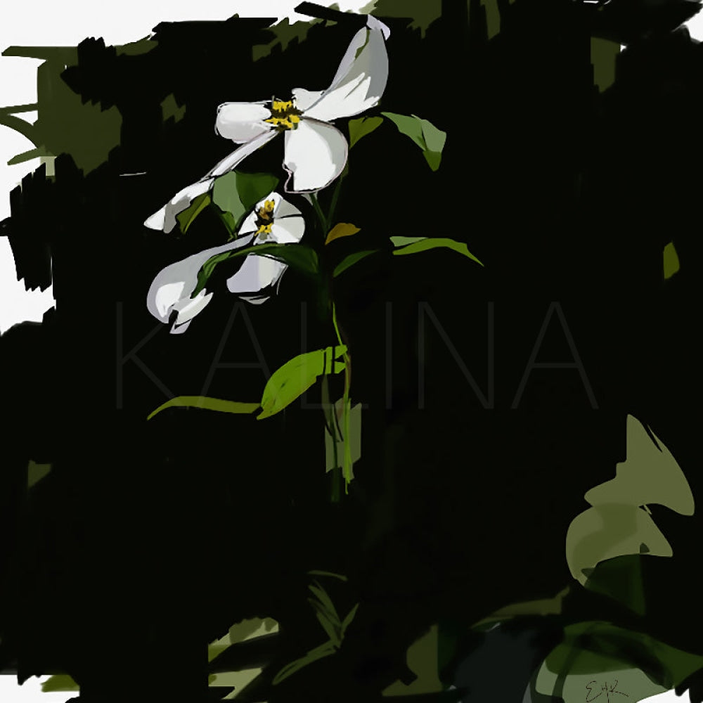 Shion Canvas