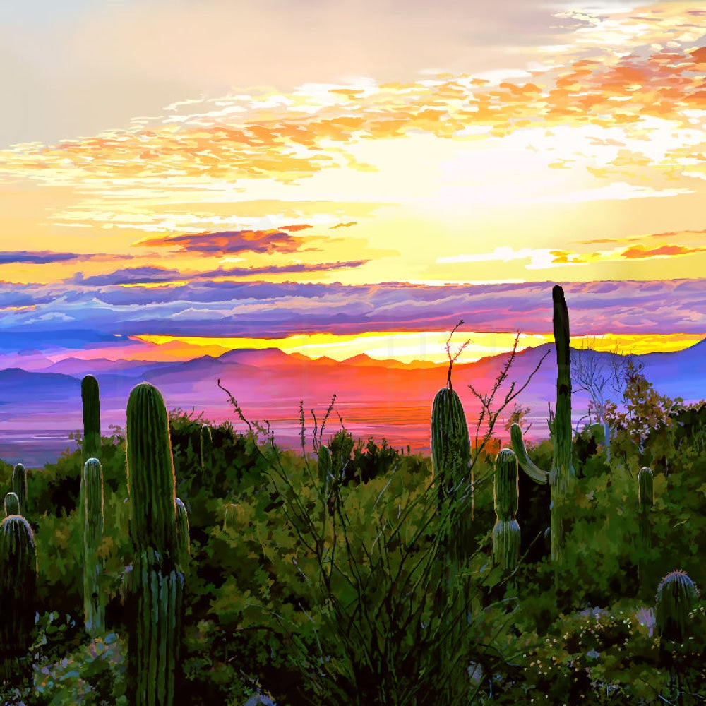 Sunset Desert Canvas