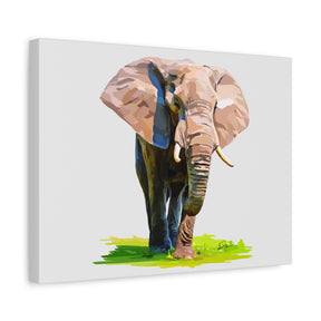 Elephant Canvas Print — Matte Stretched Wall Art