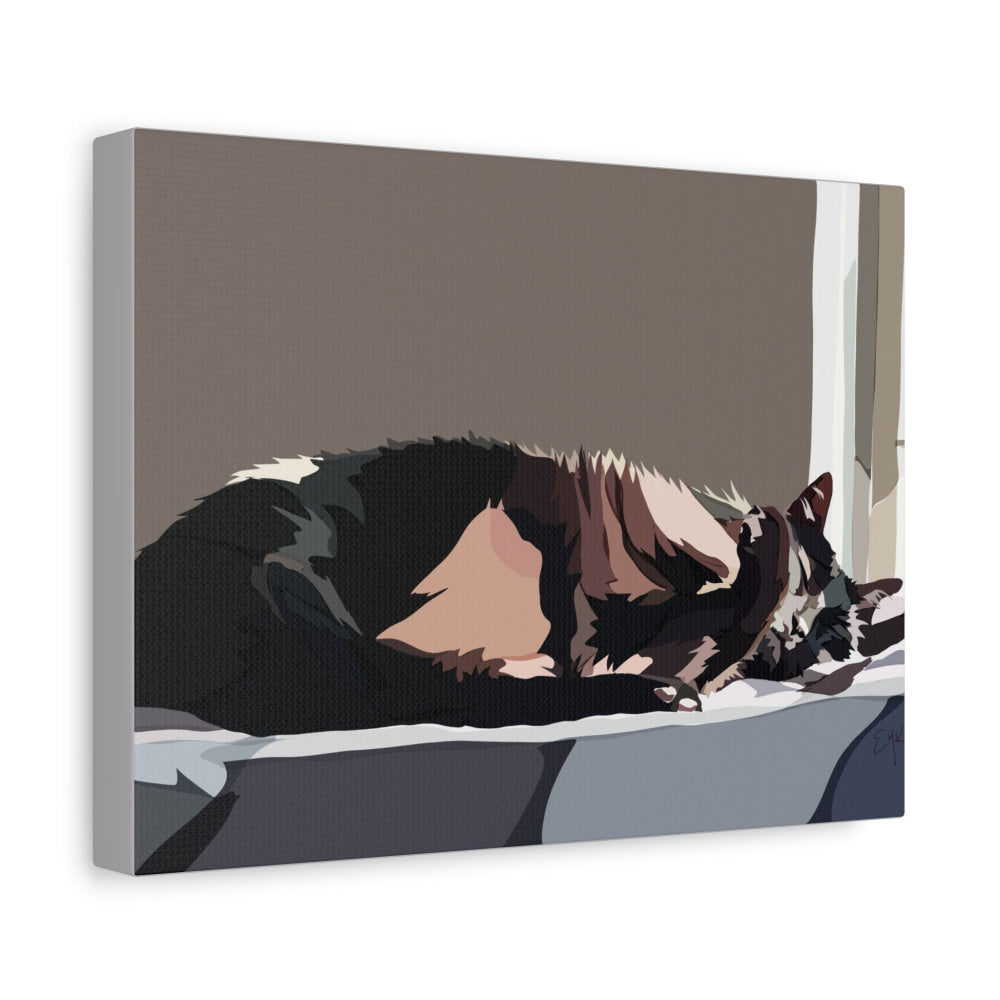 Black Cat Curled Up in the Sun — Matte Canvas Wall Art