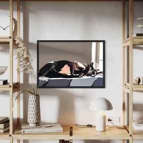 Black Cat Curled Up in the Sun — Matte Canvas Wall Art