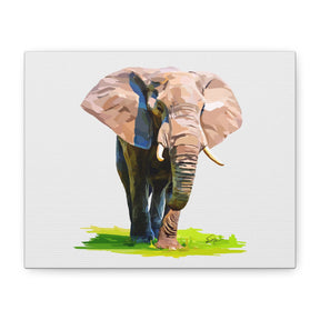 Elephant Canvas Print — Matte Stretched Wall Art