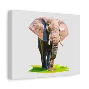 Elephant Canvas Print — Matte Stretched Wall Art