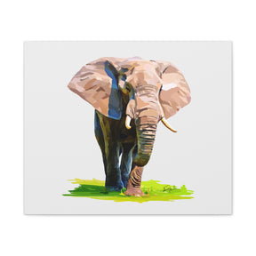 Elephant Canvas Print — Matte Stretched Wall Art