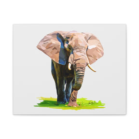 Elephant Canvas Print — Matte Stretched Wall Art