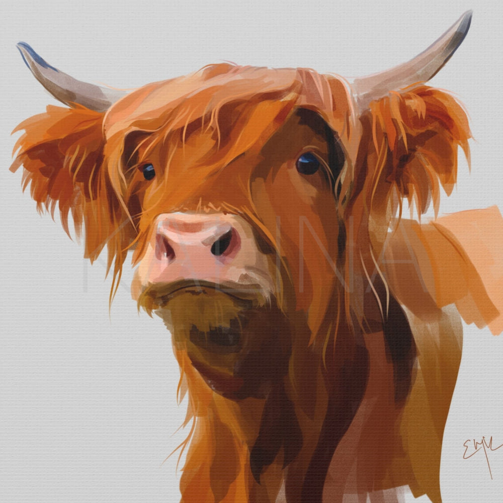 expressive illustration of a highland cow on a light gray background