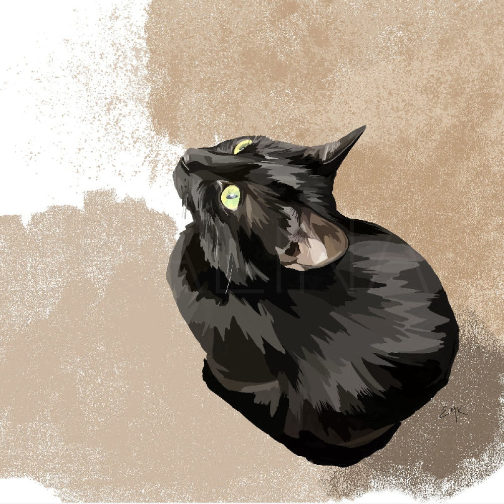 Illustration of a wide-eyed black cat named Tau gazing upward, mesmerized by something unseen — probably a bug in the lamp. The background is a warm, painterly blend of beige and white, making his yellow-green eyes pop.