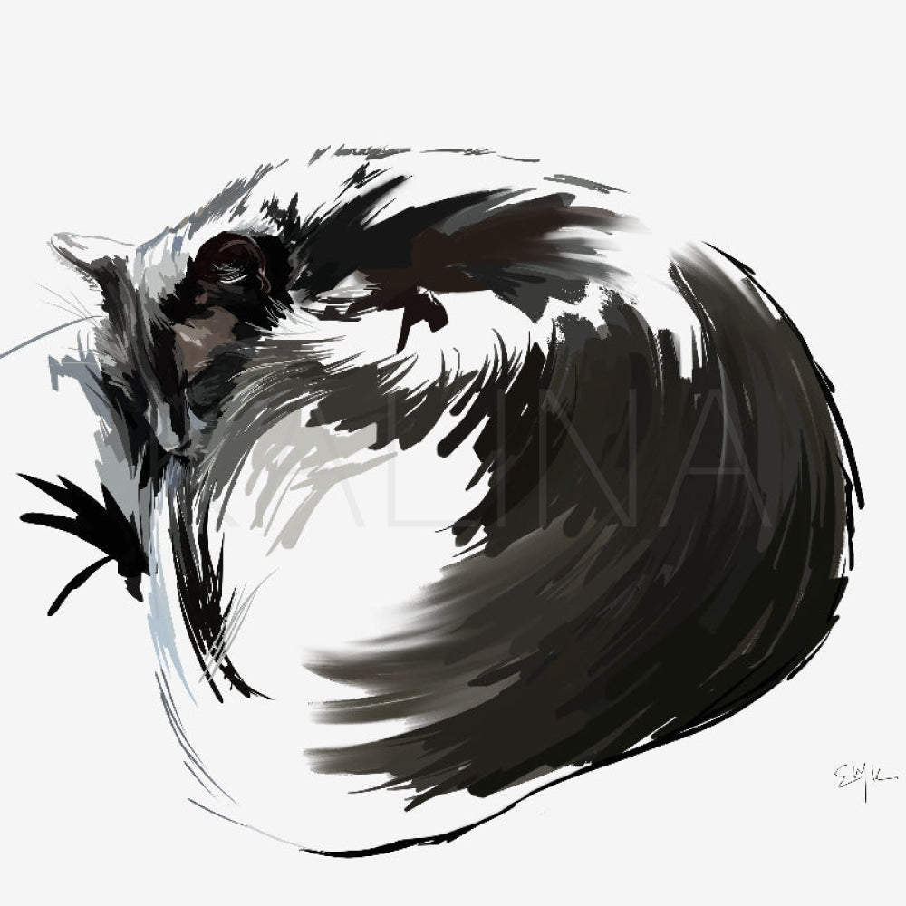 Stylized digital painting of a black cat curled tightly into a near-circle, blending into a swirling black brushstroke on a white background.