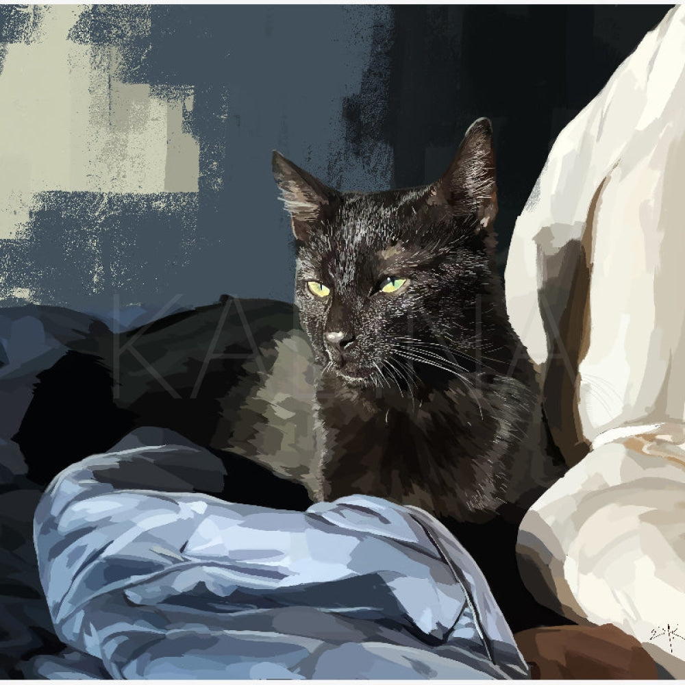 Black cat basking in sunlight on a rumpled bed, against a textured wall of shadows.