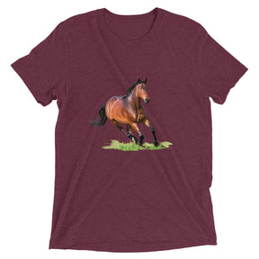 Horse In Motion T-Shirt Maroon Triblend / Xs