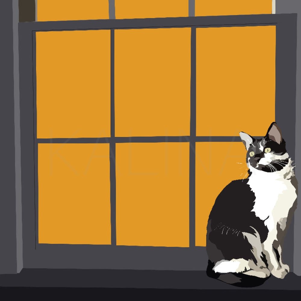 Minimalist digital illustration of a black and white cat sitting at a window, surrounded by deep orange light and clean modern lines, gazing out with calm focus.